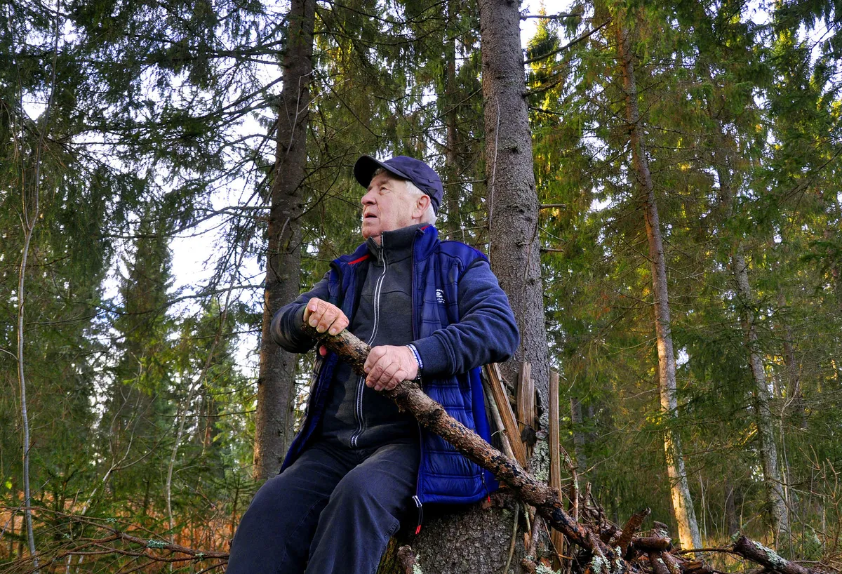 Suurmetsänomistajalla on kovat odotukset puumarkkinoista – ”Tuhannen  hehtaarin jälkeen huomasin, että metsillä voi elää” | Talouselämä