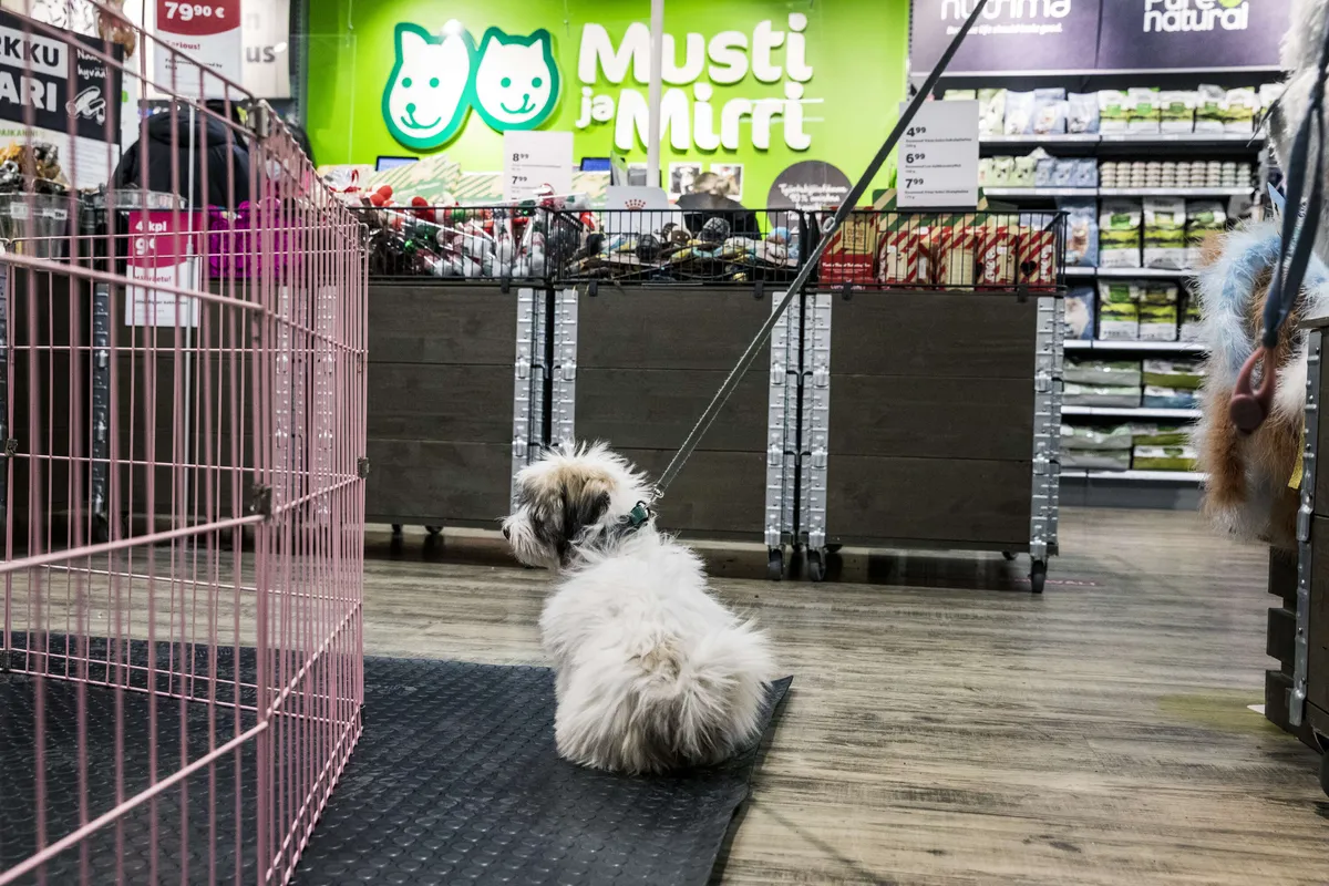 Mustin myynti kasvoi, tulos laski