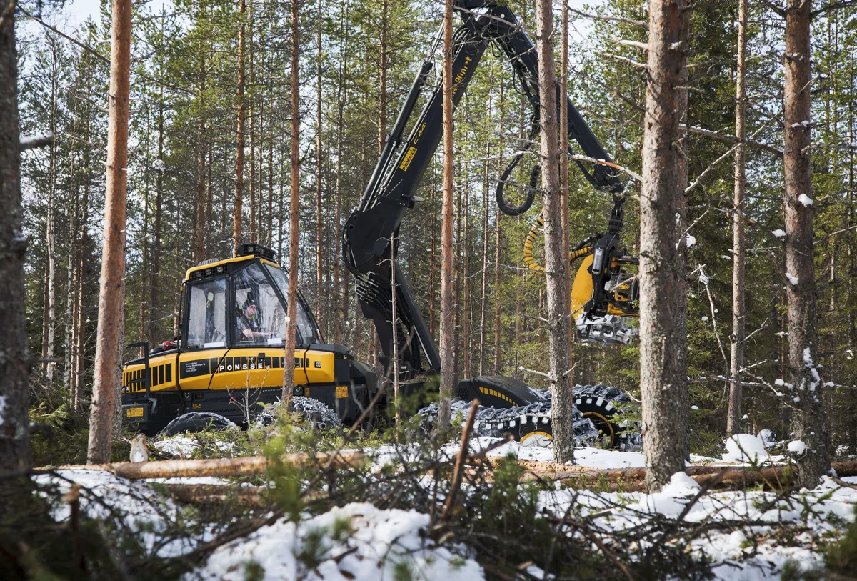 Koneyrittäjät nousivat takajaloilleen: Epäilevät Metsäkeskuksen arvioita  liian rajuista harvennuksista | Kauppalehti