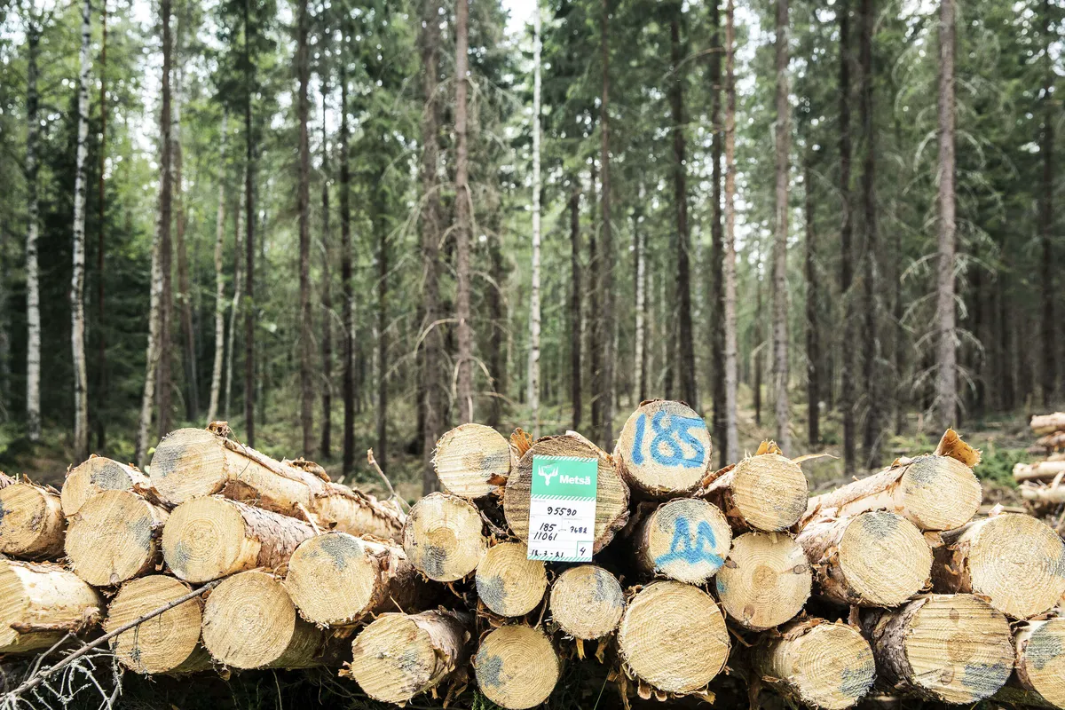 Missä Viipyvät Uudet Metsätuotteet? UPM, Stora Enso Ja Metsä Board ...