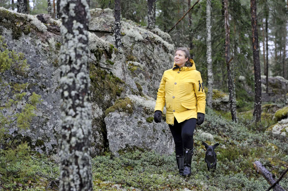 Talouselämä selvitti: Näin vaatimukset Suomen 600 000 metsänomistajalle  tiukkenevat EU:n päätösten myötä | Talouselämä