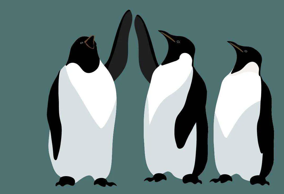 Install Linux Mint On Surface Book