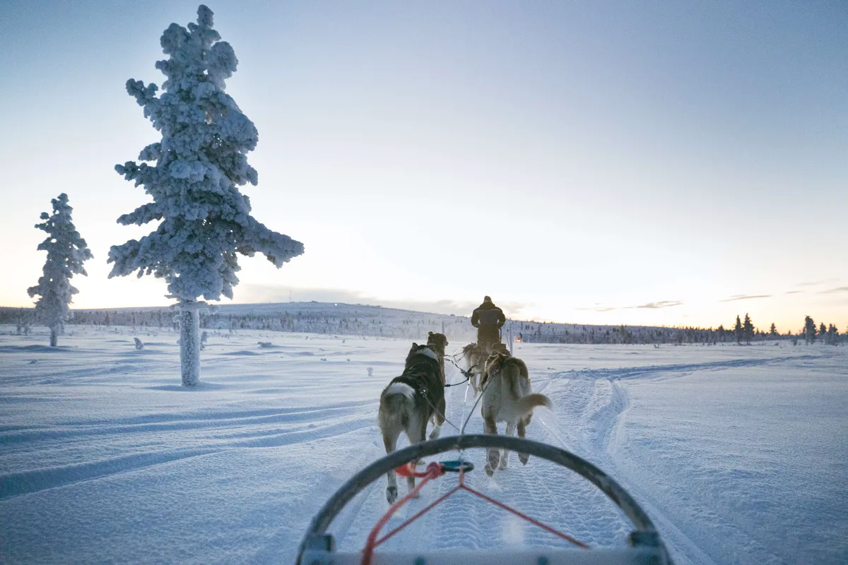 Nyt menee hyvin – Heti uusi vero
