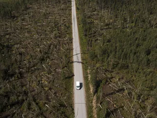 Paula-myrsky teki laajoja metsätuhoja heinäkuussa 2021. Sulan maan aikana puut ovat alttiimpia tuulille.