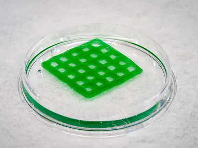 Tältä näyttää tutkijoiden 3d-tulostama materiaali petrimaljassa.