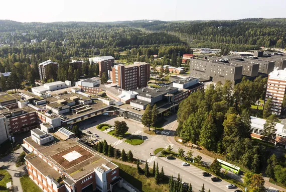 Kiinteistösijoittajien miljoonakaupat ilahduttivat laskupörssissä – metsäosakkeet laskussa