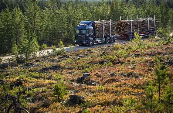 Laajat tarkastukset: Suomen metsäkeskus tutkii 200 000 km yksityisteiden ja  6 500 sillan kuntoa | Kauppalehti