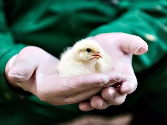 ihmiset ottaa lesbo seksiä