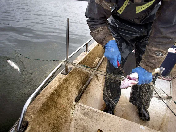 seksikäs lesbo porno kuva