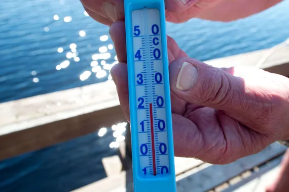 Yrityksen perustamisopas 2019