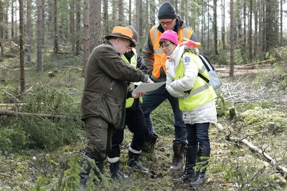 Suomen metsä- ja biotaloutta neuvomaan on perustettu tiedepaneeli – 14  asiantuntijaa aloitti työnsä | Tekniikka&Talous