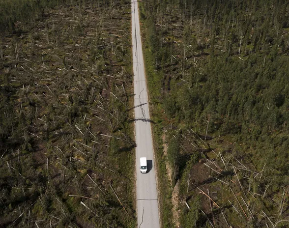 Paula-myrsky teki laajoja metsätuhoja heinäkuussa 2021. Sulan maan aikana puut ovat alttiimpia tuulille.