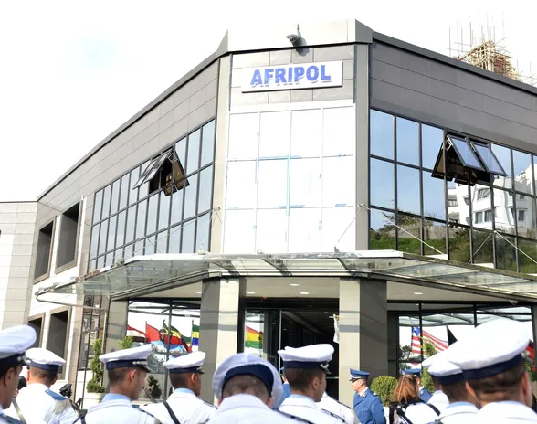 Hakkerin nappaamisessa auttoivat Afrikan unionin poliisijärjestö Afripol sekä Interpol.