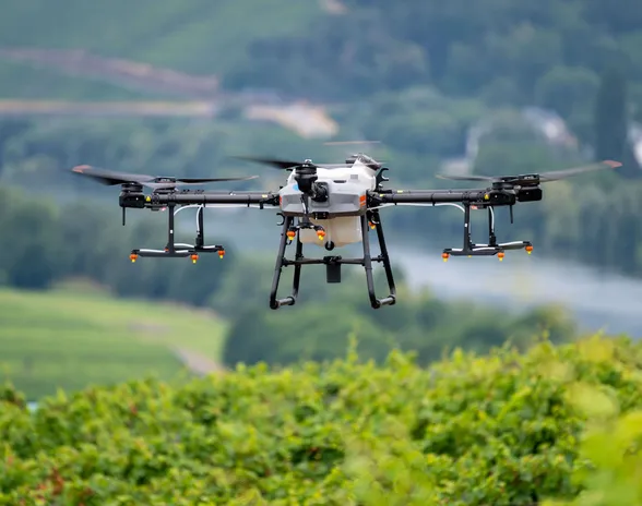 Droonin käyttöä nestemäisten aineiden levittämiseen jyrkillä rinteillä sijaitsevilla viiniviljelyksille demonstroidaan Saksassa.