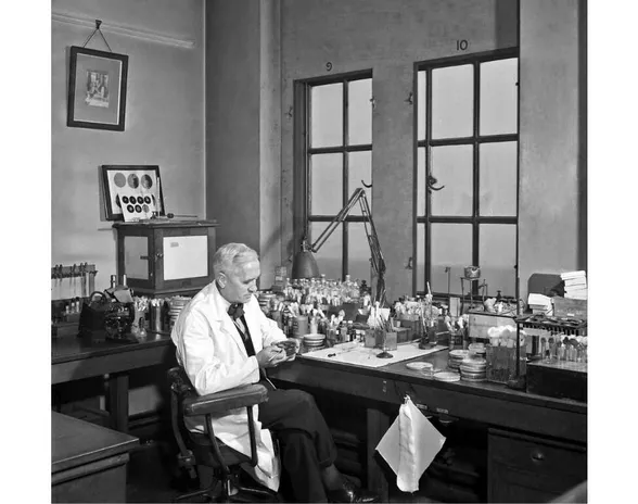Alexander Fleming laboratoriossaan sota-aikana.