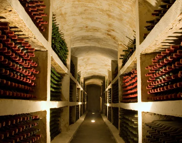 Ranskassa viiniä on pitkään tuotettu liikaa. Tänä vuonna maan viininkulutuksen odotetaan painuvan 15 prosenttia.