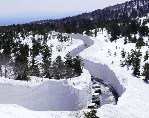 Maaliskuussa 2022 Aomorissa Japanissa sijaitseva tie oli suljettu talven, mutta aukaistiin 1. huhtikuuta.