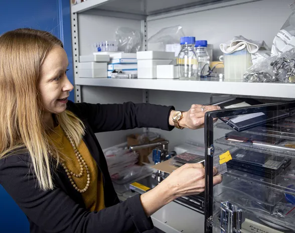 Marja Vilkman tutkii laboratoriokaappia, jossa säilytetään akkumateriaaleja. Kuva lokakuulta 2022.