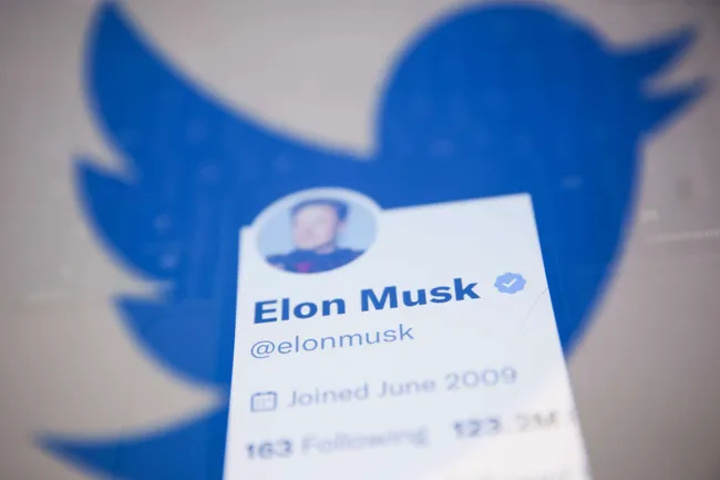 Elon Muskin viesti paljasti karun luvun Twitterin tilasta – yhtiö vastasi  kysymyksiin kakkaemojilla | Tivi