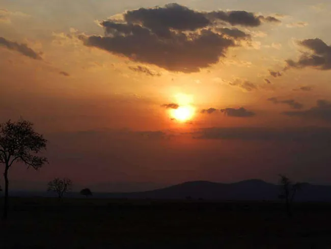 Olivia Musta Sex Tape