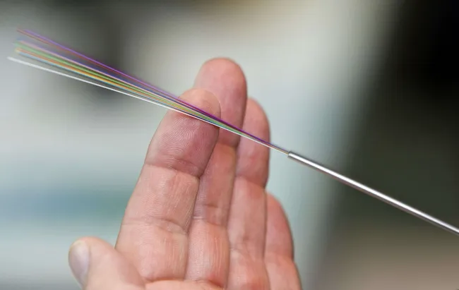 Juha ROININEN / EUP-IMAGES