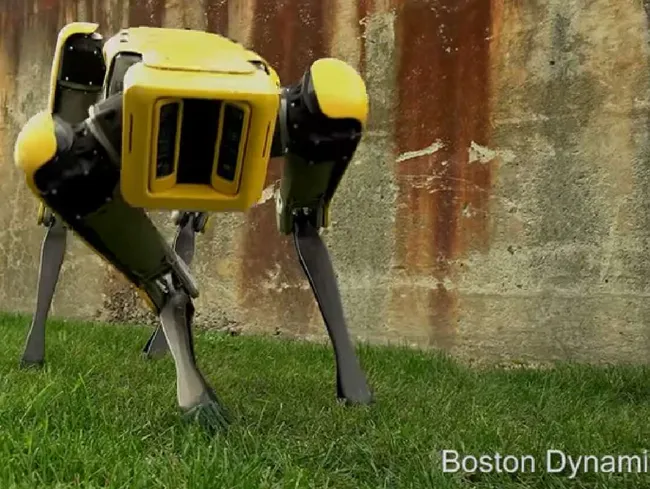 Lesbo äidit porno elokuvaa