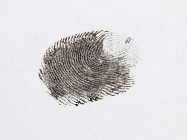 Vapaa vanha lesbo porno