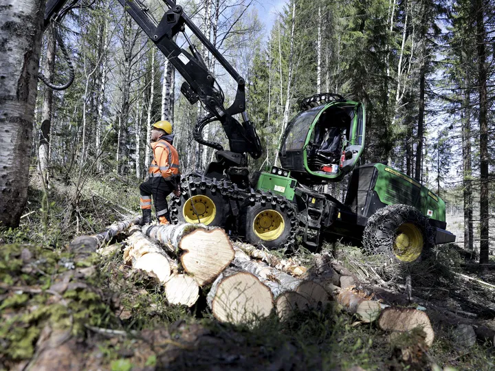 Suomen metsäalasta vain viittä prosenttia hoidetaan tällä hetkellä jatkuvan kasvatuksen periaatteella.