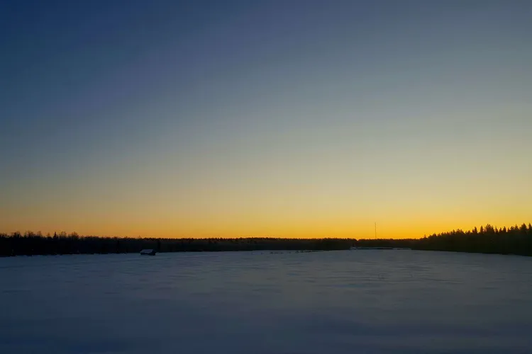Päivänvalon himmetessä aktivoituu ruskea rasva rotilla – mekanismi ...