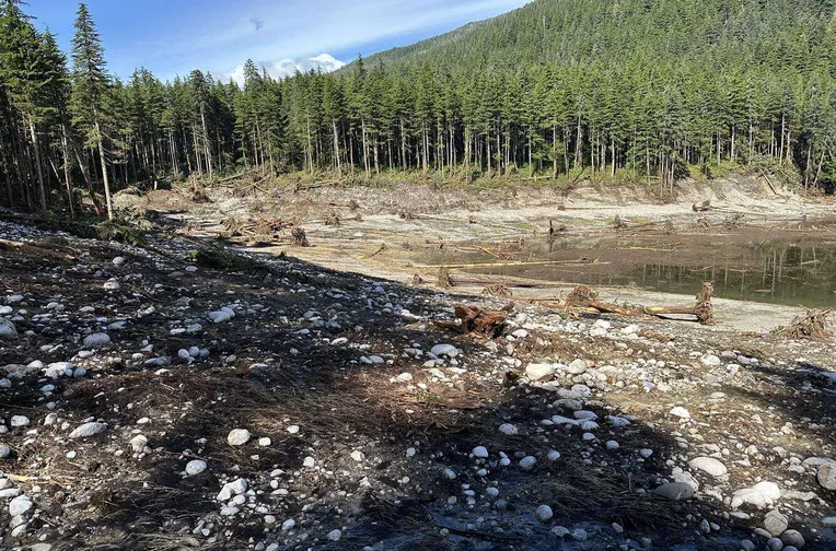 Hyökyaalto jätti metsään erittäin terävärajaisen jäljen. Kuvattu 4 päivää luonnononnettomuuden jälkeen.