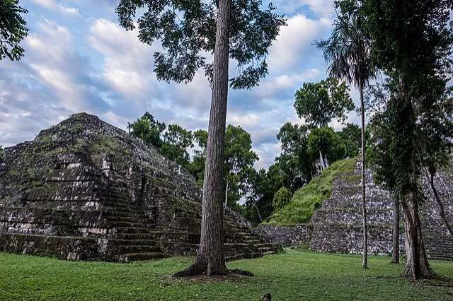 Mayan metsään kuuluvan kansallispuiston aluetta Guatemalassa joulukuussa 2017. Vanhan maya-kulttuurin jäänteet näkyvät monessa paikkaa alueen luonnon keskellä.