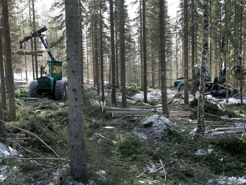 Metsien hakkuita pitäisi vähentää, mutta samalla metsähaketuotantoa kasvattaa. Ja pisteenä i:n päälle Suomi tarvitsisi lisää turvetta huoltovarmuuden ja lämmityksen turvaamiseksi.