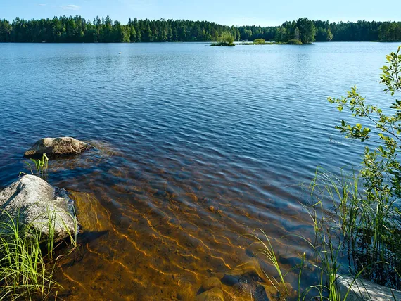 Kansanedustaja: Järven vedenpinta laski yhtäkkiä 45 senttimetriä – Hallitus  apuun tai järvi kuivuu | Uusi Suomi