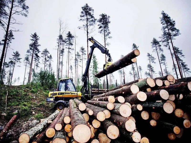 Teollisuus ehdottaa metsäverotukseen hybridimallia, joka kannustaisi myymään puuta eikä lahottamaan sitä metsissä. Menossa olevat sellutehtaiden pullonkaulainvestoinnit ja lopullista investointipäätöstä odottava Äänekosken uusi sellutehdas