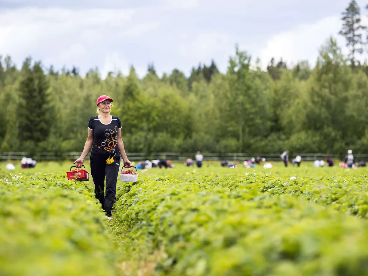 ulkomaalaisen tunnistustavat suomi fi