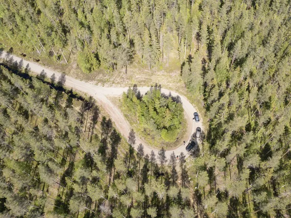 Metsänomistajille virtaa nyt ennätyssummia Suomessa – syynä ulkomaalaisten kauhistelema erikoisuus