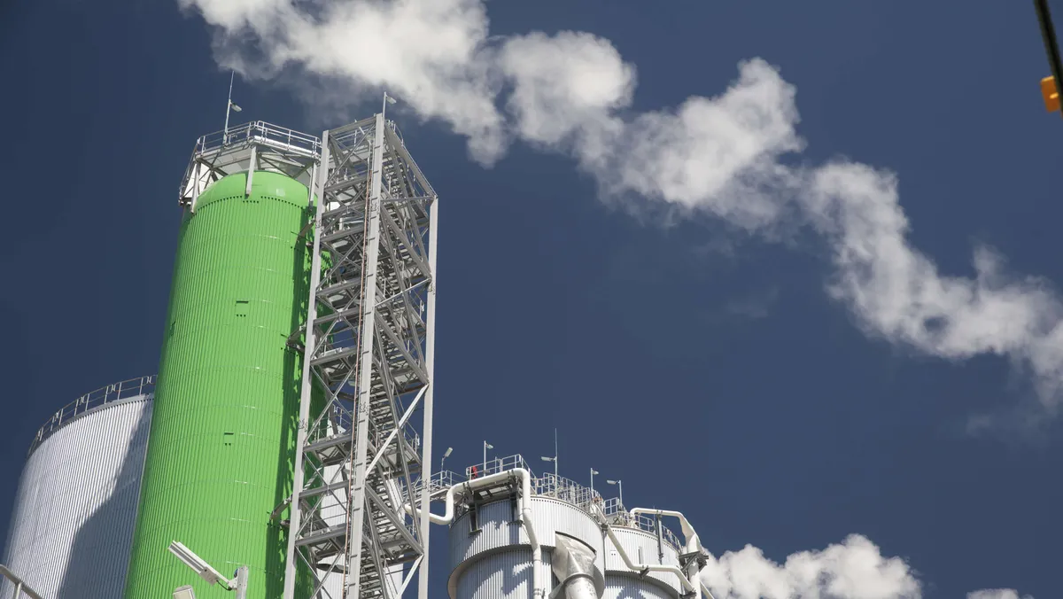 Suomalaiset ilahtuivat ilmaisista osinkolounaista – Lippo Suomiselta selitys