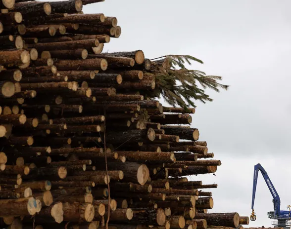 Jättirekat ovat yleistyneet Suomen teillä viime vuosina  EU-komission ehdotus voisi johtaa siihen, että puuta ja metsäteollisuuden sivutuotteita voitaisiin kuljettaa suurilla rekoilla Suomen ja Ruotsin rajojen tuntumaan, mutta ei rajan yli.