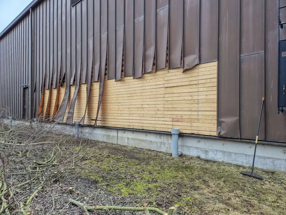 Suomessa riehuu romuvarkauksien ilmiö – Kauppiaita huijataan ovelasti