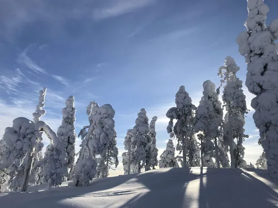 Vastuullisuus Ei Saa Olla Vain Hyvien Aikojen Teko | Kauppalehti