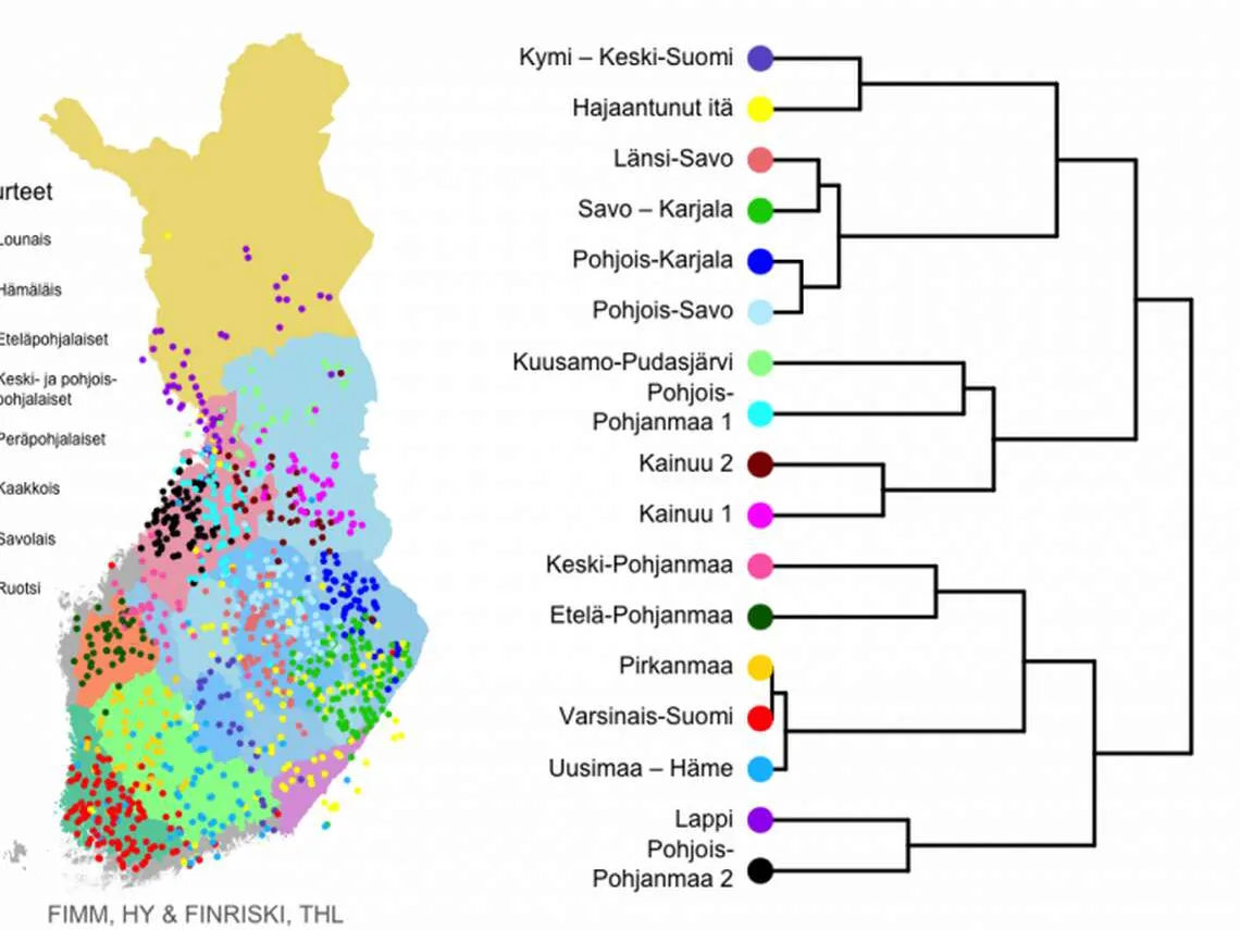 Tutkijat jakoivat suomalaiset geenien perusteella tarkemmin kuin koskaan  aiemmin – 