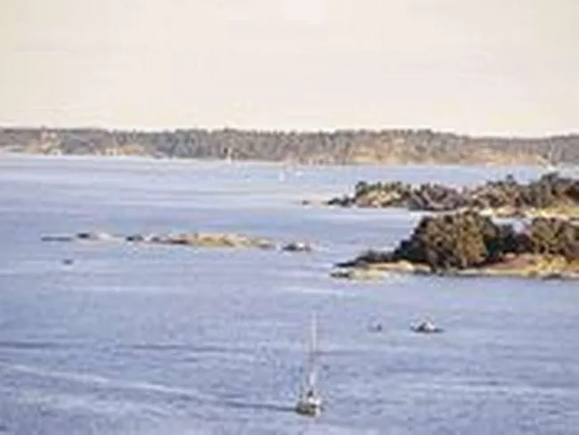 Suomen ja Ruotsin välinen merikaapeli lykkääntyy | Tekniikka&Talous