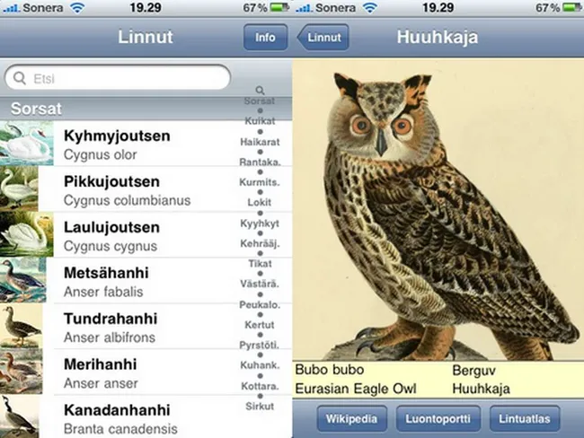 Päivän softa: Lataa suomalainen lintuopas Iphoneen ja Ipod touchiin | Tivi
