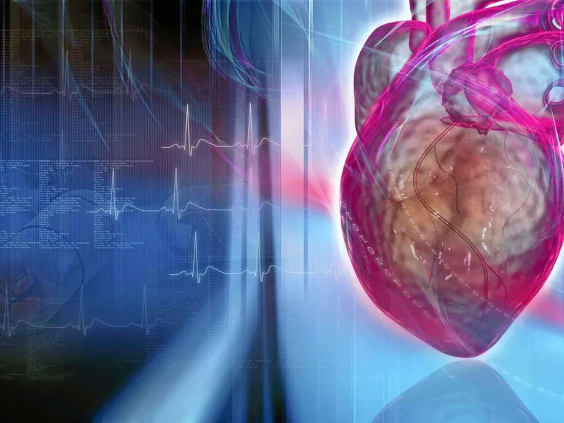 Matematiikan avulla voidaan pian ehkä ratkaista sydänongelmia.