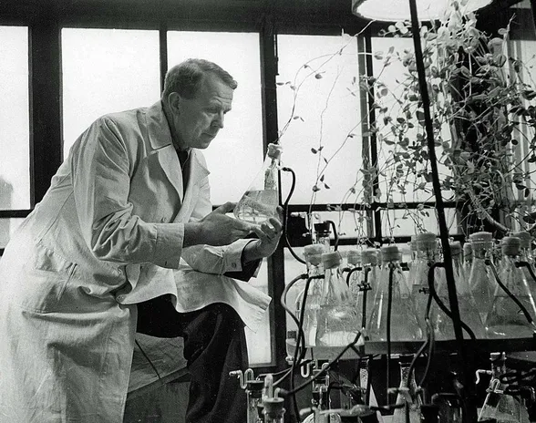 Kemisti Artturi Ilmari Virtanen biokemiallisessa laboratoriossaan vuonna 1949.