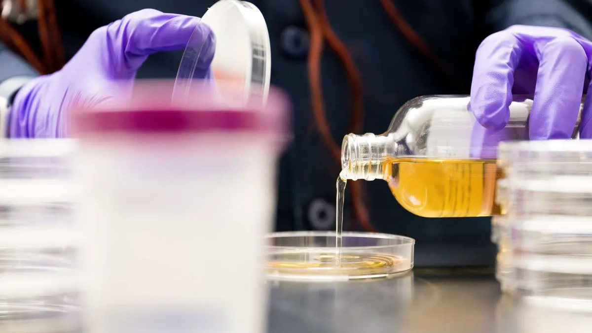 Vähän tunnettu rahastojätti poimii osakkeita kolmella tutkitulla kriteerillä – Yksi Helsingin pörssin yhtiö täyttää ne kaikki