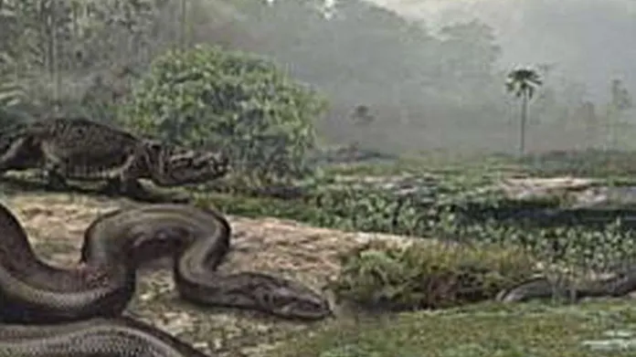 Maailman suurin käärme eli muinaisessa Etelä-Amerikassa | Tekniikka&Talous