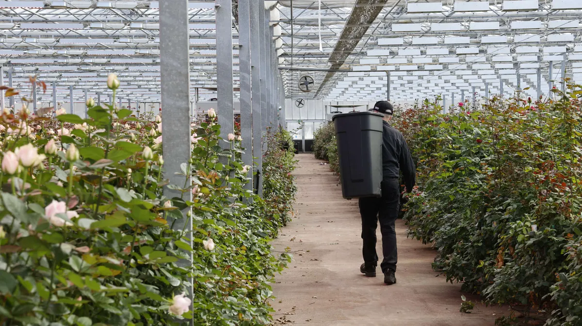 Suomalaiset hurjana puutarhakaupoilla – Yritysten myynti jopa +20 % kasvussa