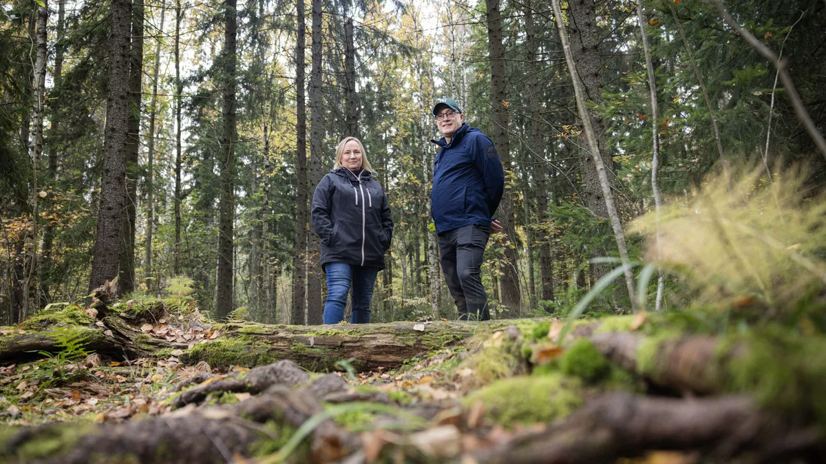 Suomessa käynnistyi hanke, joka voi ratkaista metsäalan ikuisen ongelman
