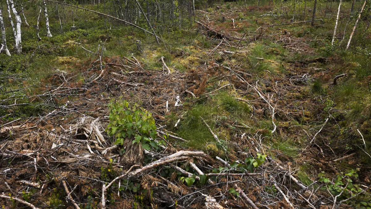 Stora Enso redeems a 500 million euro loan ahead of schedule – A giant store in the background